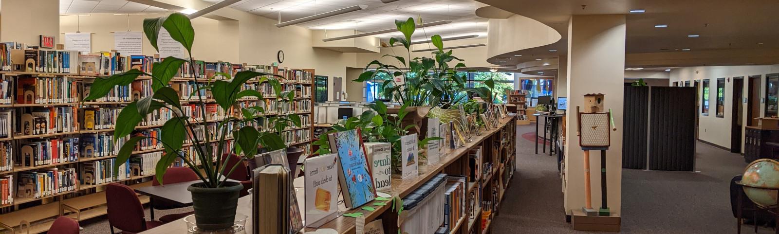 Photo inside the Library at the Albany Campus